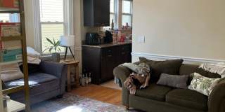 HOT BRIGHTON LISTING!!!! Gallery 13