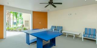 RIZE at Winter Springs Gallery 40