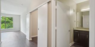 COLE COLE Gallery 17