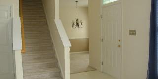 207 Cove Creek Drive Gallery 2