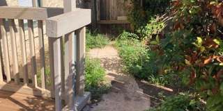 Cute 1 bed/1 bath Gallery 14