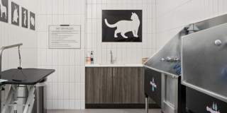 Resa Gallery 50