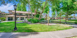 Country Club Village Gallery 22
