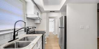 Renovated Apartment in the Heart of Carollwood Gallery 12