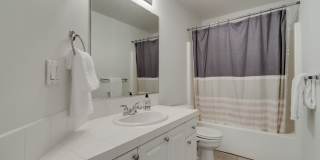 Spacious 4BR / 3BA Home in Desirable Bethany Area Gallery 34