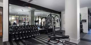 Alta Federal Hill Gallery 21