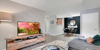 TGM Park Meadows Gallery 7