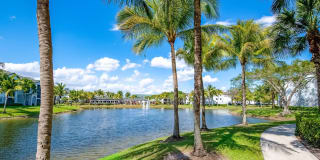 Palm Trace Landings Gallery 30
