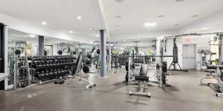 Fontainebleau Milton Gallery 19