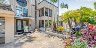 Allina La Jolla Gallery 18