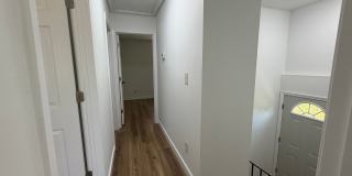 813 Ridge Street - Pet Friendly Charlottesville Home! Gallery 19