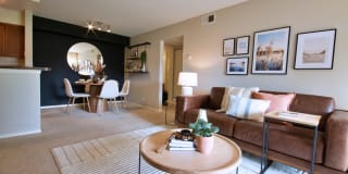 TGM Springbrook Gallery 38