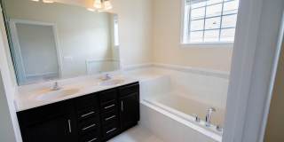 5004 FOREST PINES Drive Gallery 20