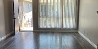 BALDWIN 08 Gallery 26