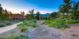 The Terrace Apartments Gallery 12