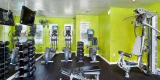 Addison Crater Woods Gallery 20