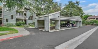 3443 Pepperwood Ter Gallery 30