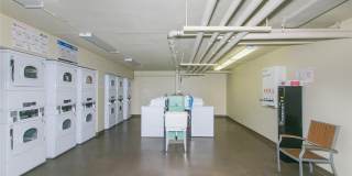2452 Tusitala Street Gallery 13