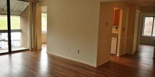 8723 HAYSHED LN #31 Gallery 1