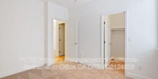 1732 Bamboo Street Gallery 22
