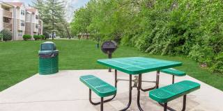 Sussex Downs Gallery 64