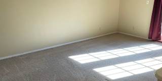 Darling 1 Bed, 1.5 Bath Townhouse with small Fenced Yard! Gallery 18