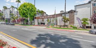 Allina La Jolla Gallery 14