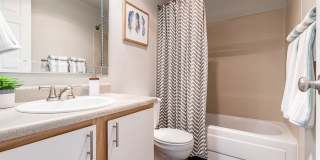 Avana Star Lake Gallery 64