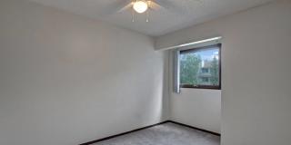 Russian Jack Gallery 12