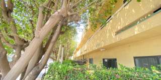URBI 1 LLC | 2724 Abbot Kinney Blvd Gallery 69
