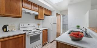 Bellevue One Condo Apartments Gallery 16