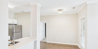 Elevate on Main Gallery 18