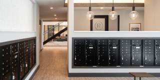 The Riley Gallery 41