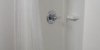 2311 Olive Street Gallery 45