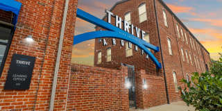 Thrive Argenta Gallery 3