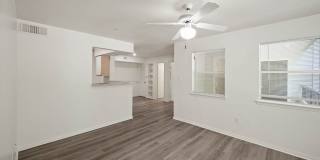 Forest View Gallery 9