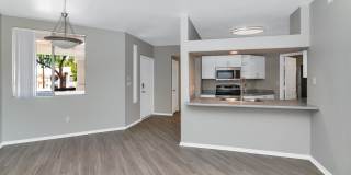 Reflections at Gila Springs Gallery 17