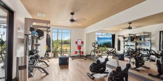 Artea at Southbank Gallery 29