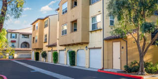 Paseos At Magnolia Luxury Apartment Homes Gallery 111