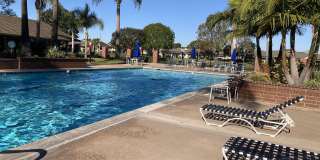 8685 Merced Circle Unit 1016b Gallery 5