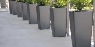 9100 Whitworth Dr Gallery 6