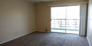 Downtown Deluxe 2 bd Penthouse! Views! NO HIDDEN FEES! Gallery 6