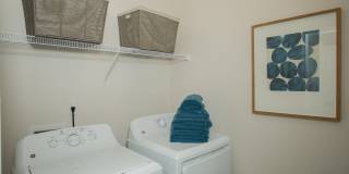 Waterleaf at Murrells Inlet Gallery 8