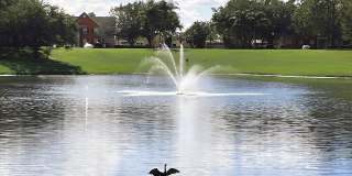 Vista Lake Ned Gallery 22