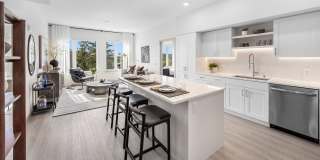 Broadstone Vega Gallery 15