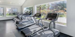 Serramonte Ridge Gallery 13