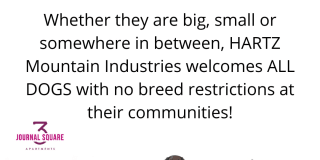 3 Journal Square Gallery 39