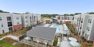 Bluebird on Seventy Gallery 35