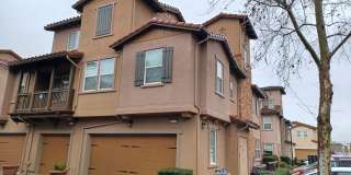 34132 Spezia Terrace Gallery 3