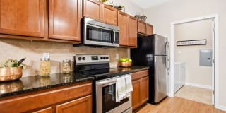 Olympus at Jack Britt Gallery 1